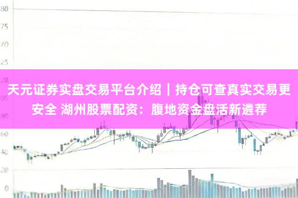 天元证券实盘交易平台介绍｜持仓可查真实交易更安全 湖州股票配资：腹地资金盘活新遴荐