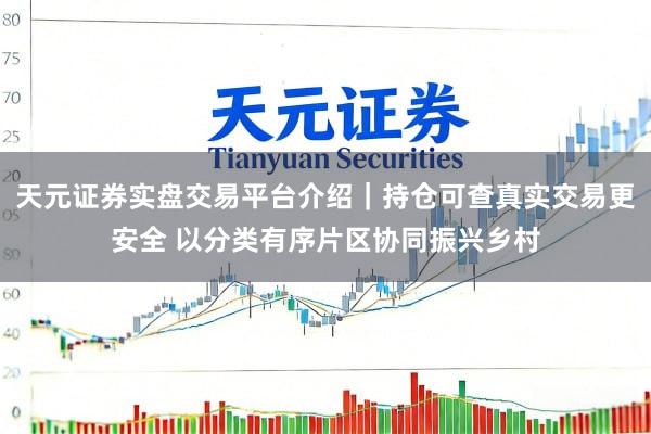 天元证券实盘交易平台介绍|持仓可查真实交易更安全 以分类有序片区协同振兴乡村