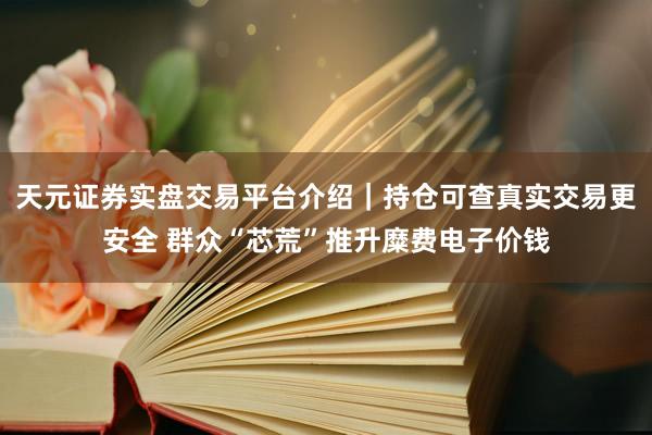 天元证券实盘交易平台介绍｜持仓可查真实交易更安全 群众“芯荒”推升糜费电子价钱