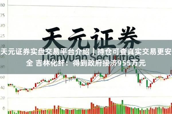 天元证券实盘交易平台介绍｜持仓可查真实交易更安全 吉林化纤：得到政府接济955万元